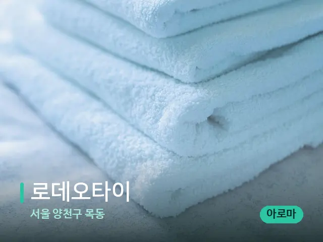 서울 양천구 목동 로데오타이 — 스파 관리실 내부